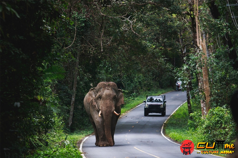 Rencana Perjalanan ke Nakhon Ratchasima