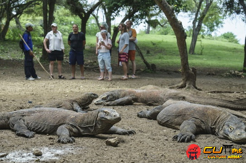 Taman Nasional Komodo