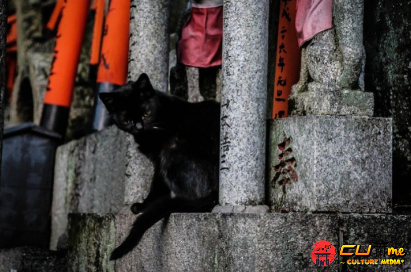 Kucing Hitam dalam Budaya Jepang